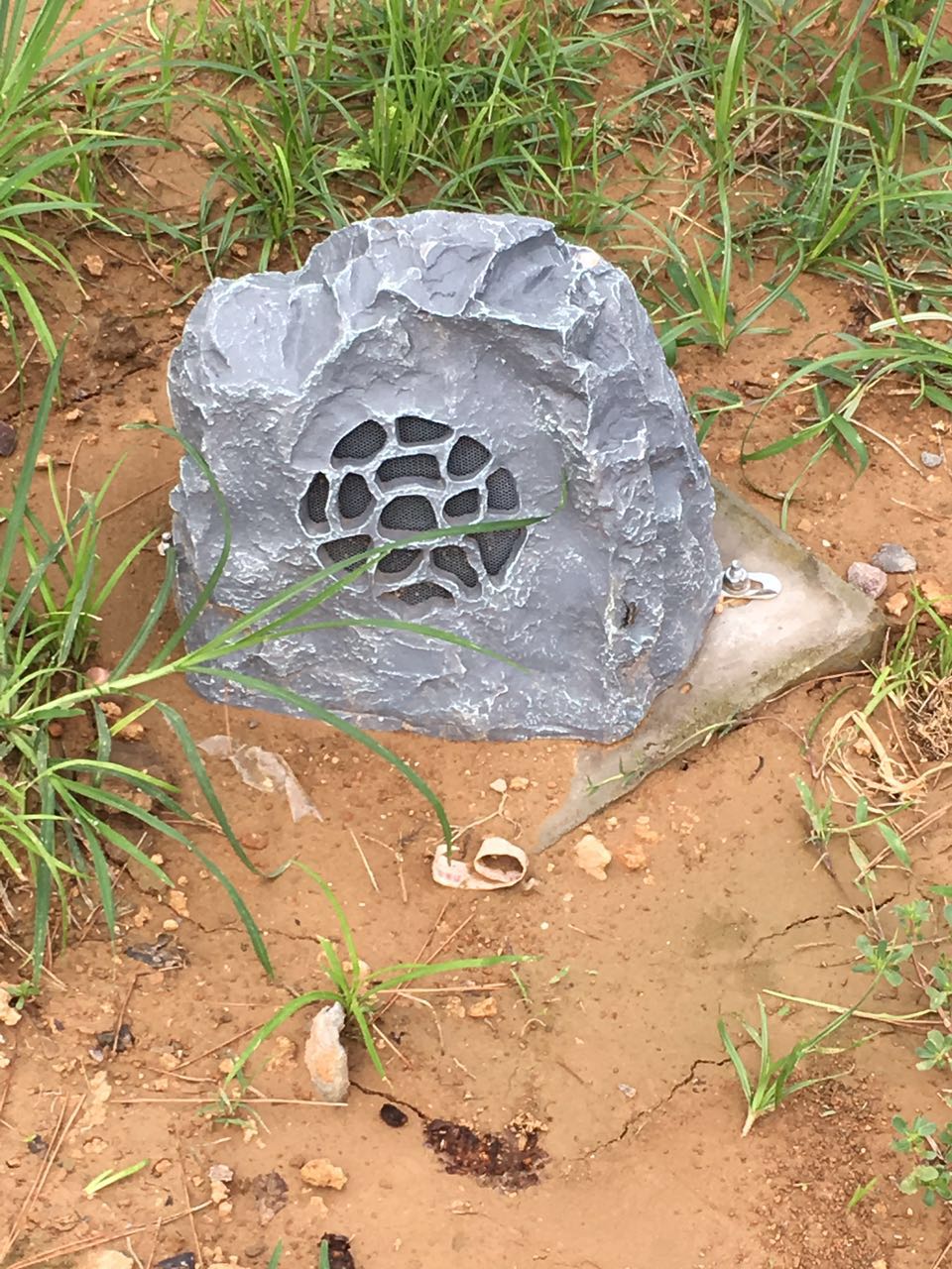 �������ǲ�(�й���)�ٷ���վ