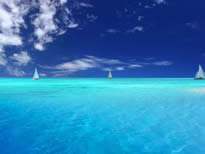 bte·365(中国)唯一官方网站